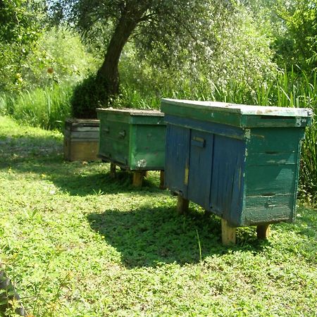 Pelican City Wilkowo Zewnętrze zdjęcie