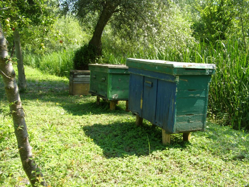 Pelican City Wilkowo Zewnętrze zdjęcie