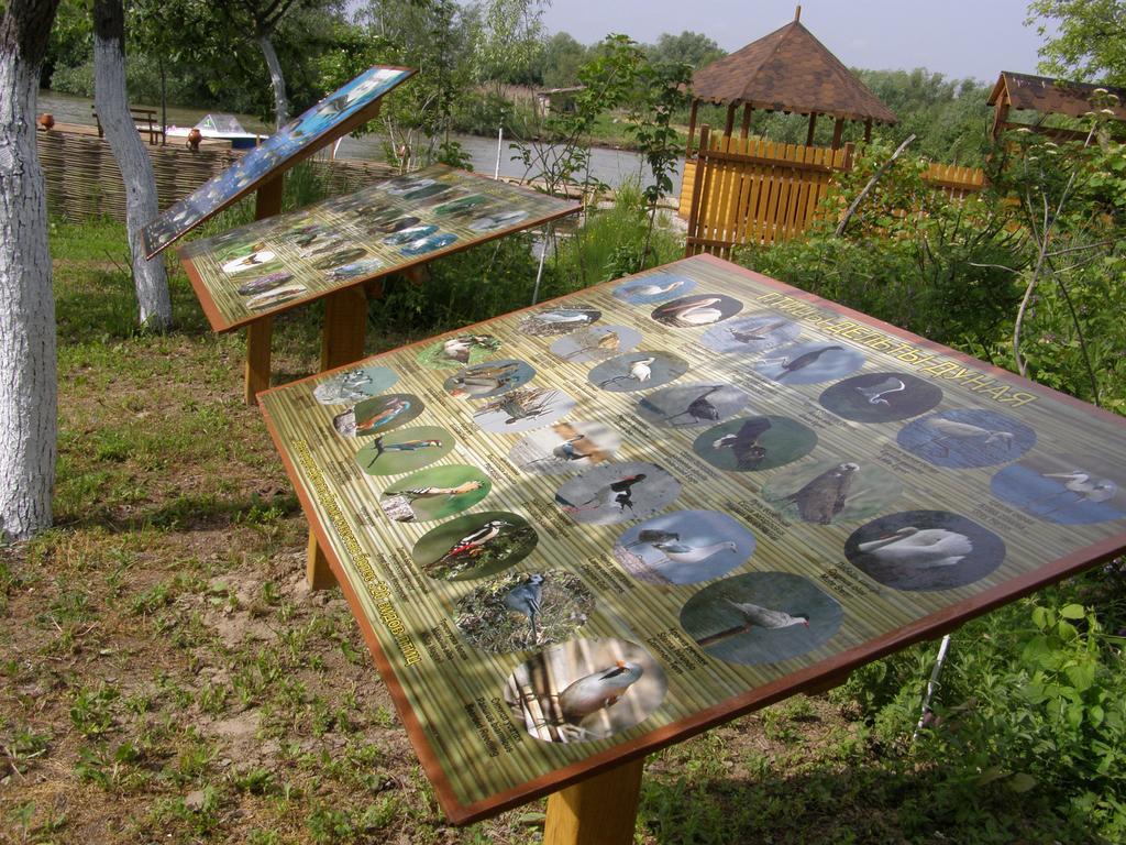 Pelican City Wilkowo Zewnętrze zdjęcie